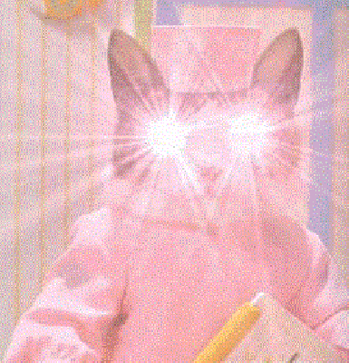 Kot przebrany za pielęgniarkę z błyszczącymi oczami